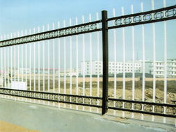 护栏与护栏网 守护安全的边界卫士